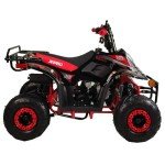 X-Pro 110cc Youth ATV Quad with Accessories