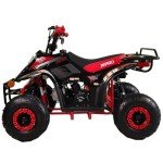 X-Pro 110cc Youth ATV Quad with Accessories