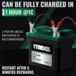 TYKOOL 12.8V Lithium Battery for ATVs and More