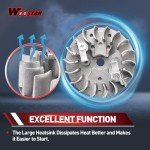 WOOSTAR Flywheel for 2 Stroke Mini Bikes