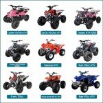 FVRITO PZ20 Carburetor Kit for ATVs and Bikes