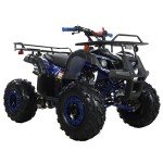 X-PRO 125cc ATV Automatic Transmission with Reverse
