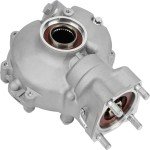 Honda TRX300 Rear Differential Assembly 1988-2000