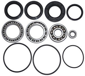 Honda TRX300FW Rear Differential Bearing Kit 1988-2000
