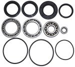 Honda TRX300FW Rear Differential Bearing Kit 1988-2000