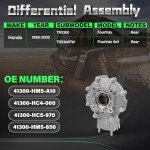 Honda TRX300 Rear Differential Assembly 1988-2000