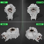 Honda TRX300 Rear Differential Assembly 1988-2000