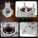 Honda TRX300 Rear Differential Assembly 1988-2000