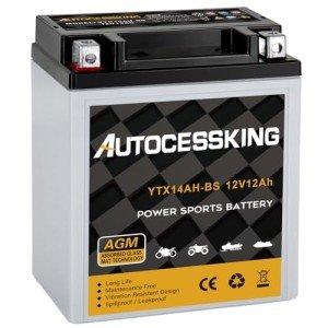 YTX14AH-BS Sealed AGM 12V Battery for ATV