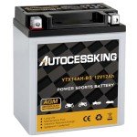 YTX14AH-BS Sealed AGM 12V Battery for ATV