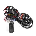WeiSen 180W Lighted Whip Wiring Harness Kit