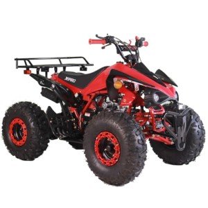 X-PRO Blast 125cc ATV Automatic Transmission with Reverse