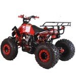 X-PRO Blast 125cc ATV Automatic Transmission with Reverse