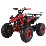 X-PRO Blast 125cc ATV Automatic Transmission with Reverse