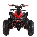 X-PRO Blast 125cc ATV Automatic Transmission with Reverse