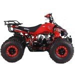 X-PRO Blast 125cc ATV Automatic Transmission with Reverse