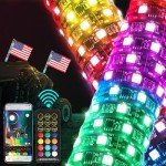 2FT RGB LED Whip Lights with Remote Control