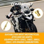 Icyhaws 20-Piece Carburetor Jet Kit for ATVs