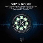 White LED Strobe Light Kit for ATVs and Cars