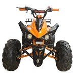 X-PRO 125cc ATV with Reverse and LED Headlight