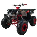 X-PRO 200 Utility ATV with Reverse & Big Tires