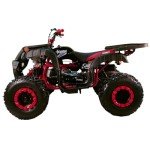 X-PRO 200 Utility ATV with Reverse & Big Tires