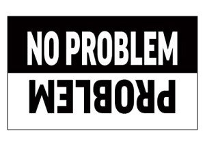 Funny Sarcastic Auto Window Decal 3x5 Inch