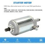 Honda ATV Starter Motor Replacement for TRX 250