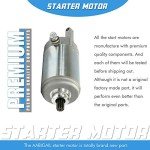 Honda ATV Starter Motor Replacement for TRX 250