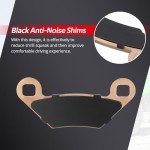 Sintered Brake Pads for Sportsman and Scrambler ATVs