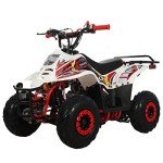 X-PRO Bolt 110cc Gas Powered ATV (Red)