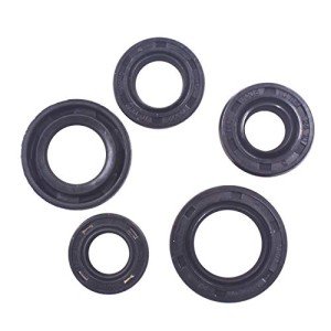 5pcs Oil Seal Kit for DY100 110cc ATV