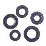 5pcs Oil Seal Kit for DY100 110cc ATV