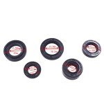 5pcs Oil Seal Kit for DY100 110cc ATV