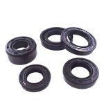 5pcs Oil Seal Kit for DY100 110cc ATV