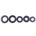 5pcs Oil Seal Kit for DY100 110cc ATV