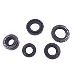 5pcs Oil Seal Kit for DY100 110cc ATV