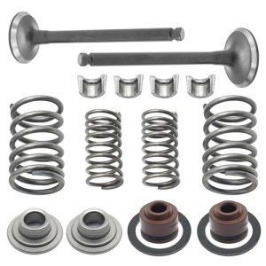 Saihisday ATV Cylinder Valve Kit with Springs & Seals