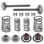 Saihisday ATV Cylinder Valve Kit with Springs & Seals