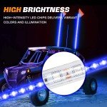 3FT Blue LED Whip Light for ATVs & UTVs