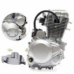 200cc 250CC 4-Stroke ATV Engine with Manual Clutch