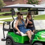 Bluetooth Speaker Mount for ATV and Golf Carts