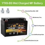 Weize YTX9-BS Maintenance Free Battery for ATV