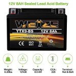 Weize YTX9-BS Maintenance Free Battery for ATV