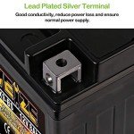 Weize YTX9-BS Maintenance Free Battery for ATV