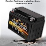 Weize YTX9-BS Maintenance Free Battery for ATV