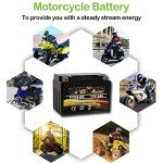 Weize YTX9-BS Maintenance Free Battery for ATV