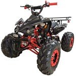 X-PRO 125cc ATV Automatic w/Reverse & LED Lights