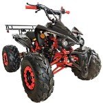 X-PRO 125cc ATV Automatic w/Reverse & LED Lights