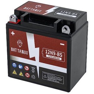 Battanux 12V Sealed Maintenance-Free ATV Battery
